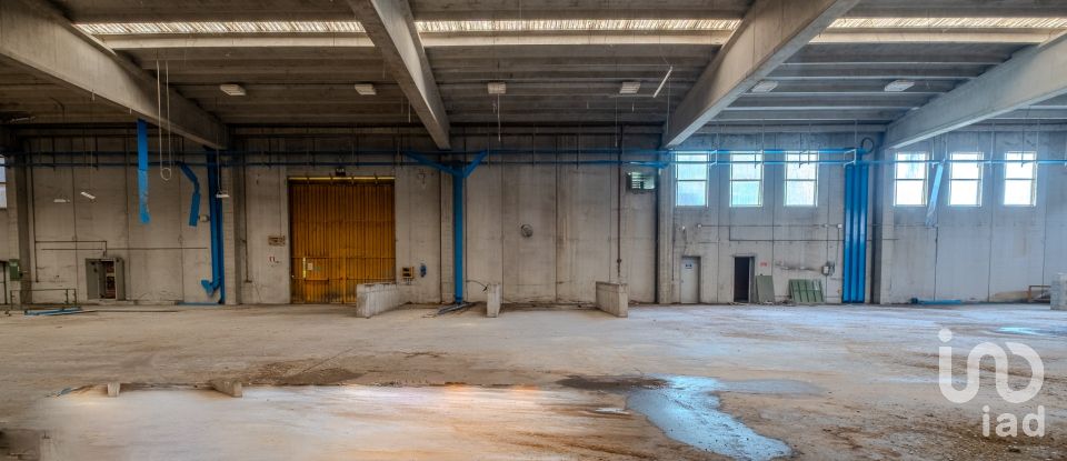 Capannone di 8.000 m² in Volta Mantovana (46049)