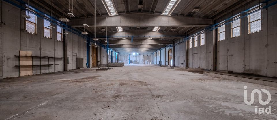 Capannone di 8.000 m² in Volta Mantovana (46049)