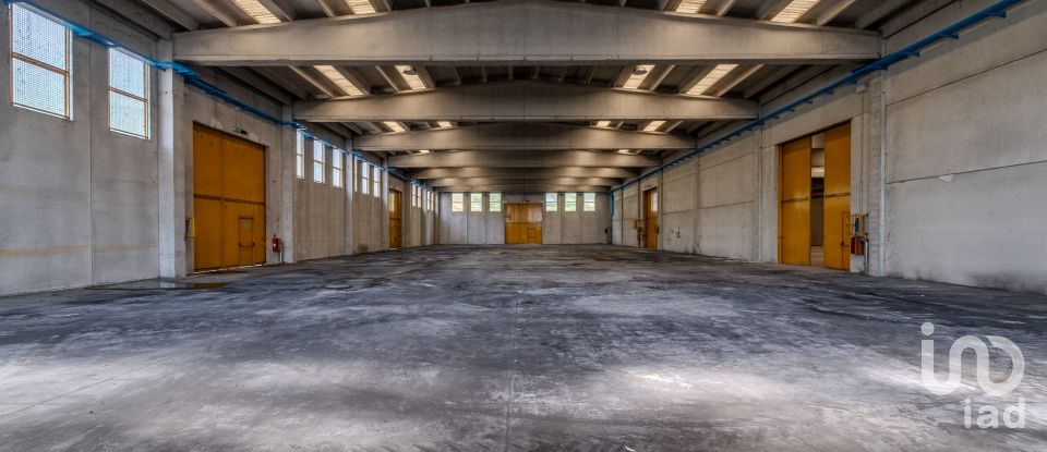 Capannone di 8.000 m² in Volta Mantovana (46049)