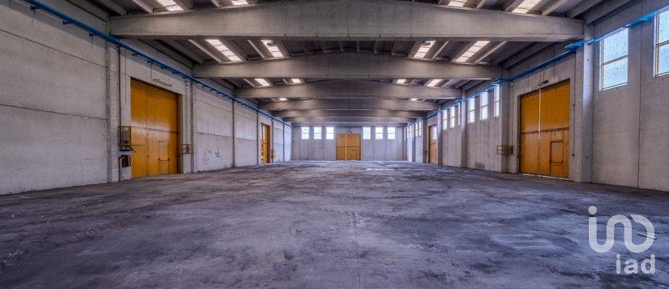 Capannone di 8.000 m² in Volta Mantovana (46049)