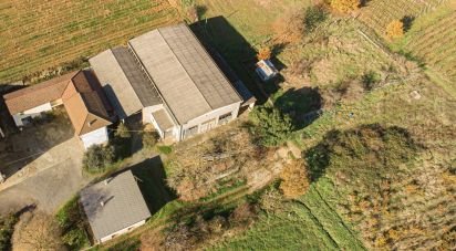 Casa indipendente 10 locali di 300 m² in Carpeneto (15071)