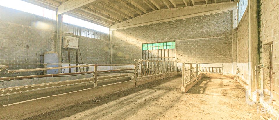 Casa indipendente 10 locali di 300 m² in Carpeneto (15071)