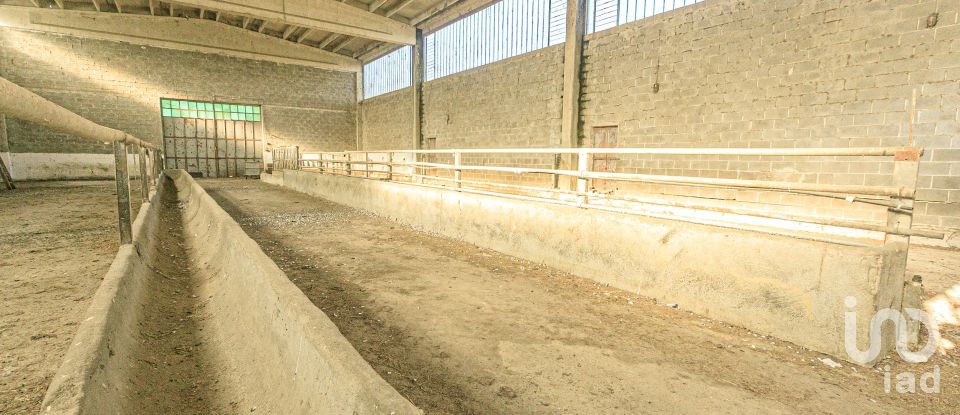 Casa indipendente 10 locali di 300 m² in Carpeneto (15071)