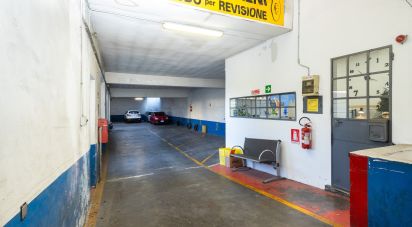 Negozio / locale commerciale di 1.100 m² in Torino (10149)
