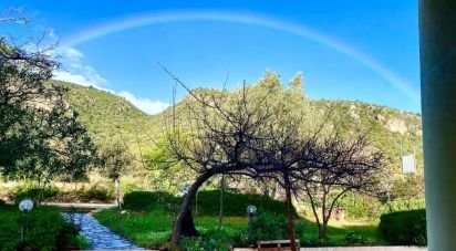 Costruzione di 1.035 m² in Siniscola (08020)