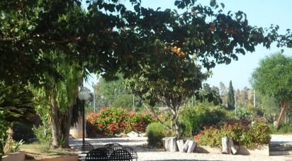 Costruzione di 1.035 m² in Siniscola (08020)