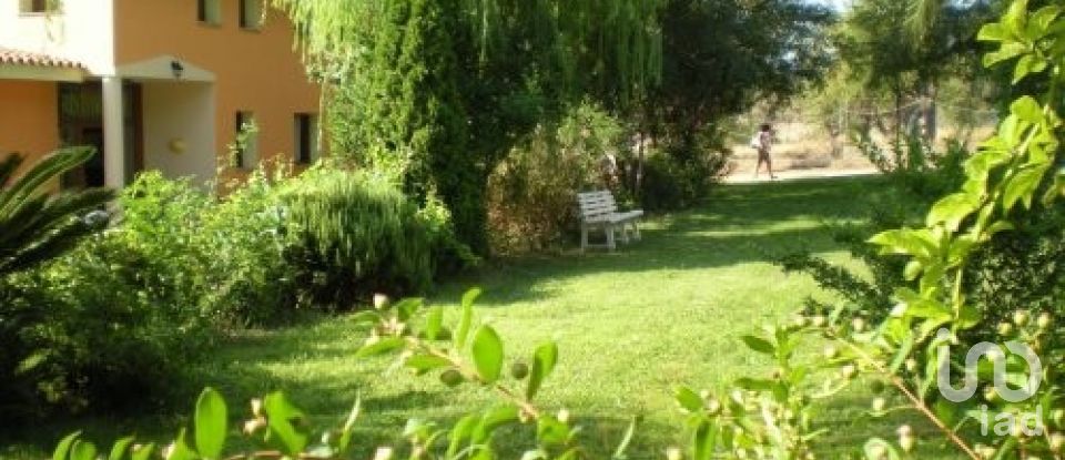 Block of flats in Siniscola (08020) of 1,035 m²