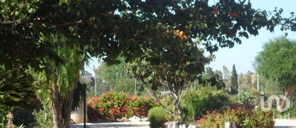 Block of flats in Siniscola (08020) of 1,035 m²