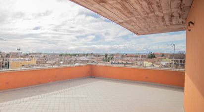 Apartment 0 rooms of 55 m² in Fano (61032)