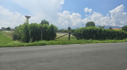 Terreno di 5.042 m² in Ciriè (10073)
