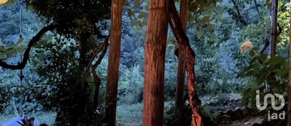 Casa indipendente / Villa 9 locali di 260 m² in Murialdo (17013)