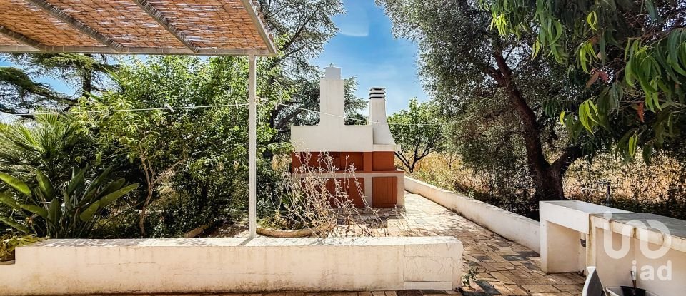 Farm 0 rooms of 100 m² in Ceglie Messapica (72013)