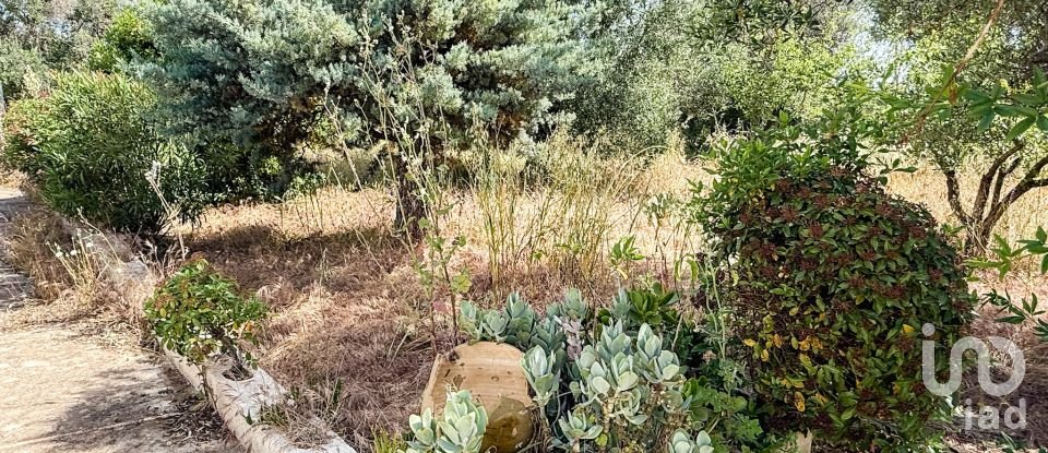 Farm 0 rooms of 100 m² in Ceglie Messapica (72013)