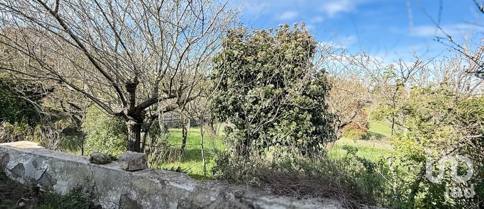 Trullo 6 locali di 77 m² in Martina Franca (74015)