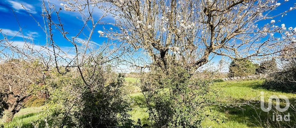 Trullo 6 locali di 77 m² in Martina Franca (74015)