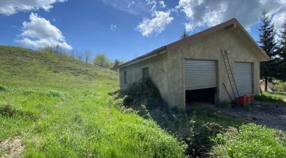 Terreno di 25.000 m² in Dego (17058)