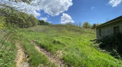 Terreno di 25.000 m² in Dego (17058)