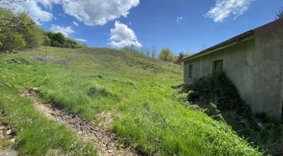 Terreno di 25.000 m² in Dego (17058)