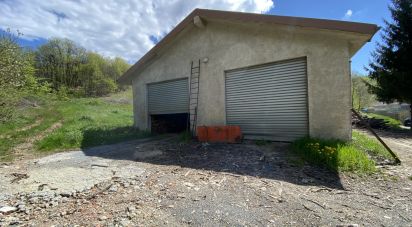 Terreno di 25.000 m² in Dego (17058)