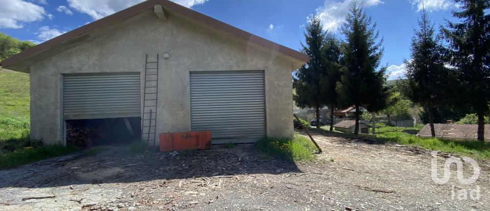 Terreno di 25.000 m² in Dego (17058)