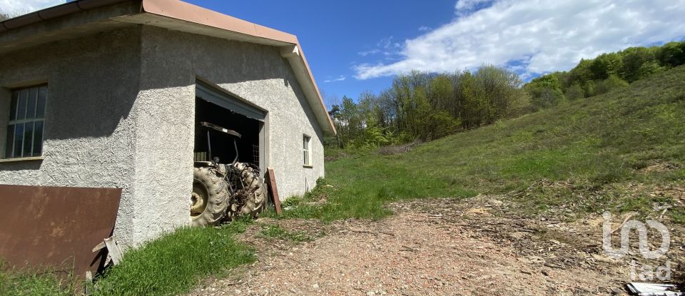 Terreno di 25.000 m² in Dego (17058)