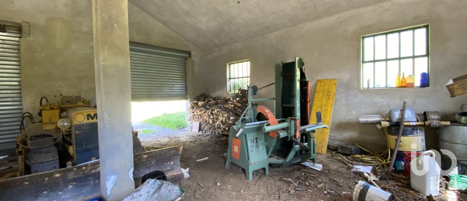 Terreno di 25.000 m² in Dego (17058)