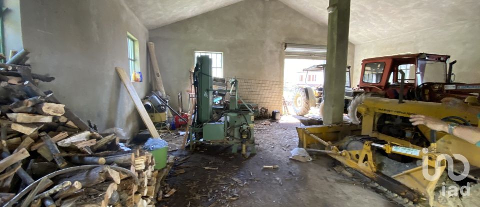 Terreno di 25.000 m² in Dego (17058)