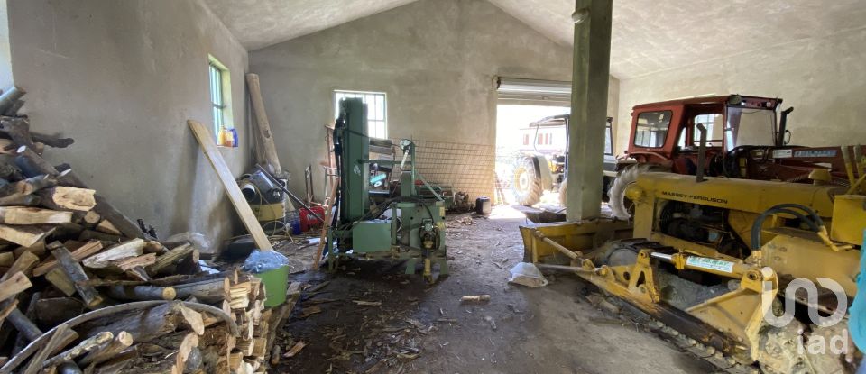 Terreno di 25.000 m² in Dego (17058)