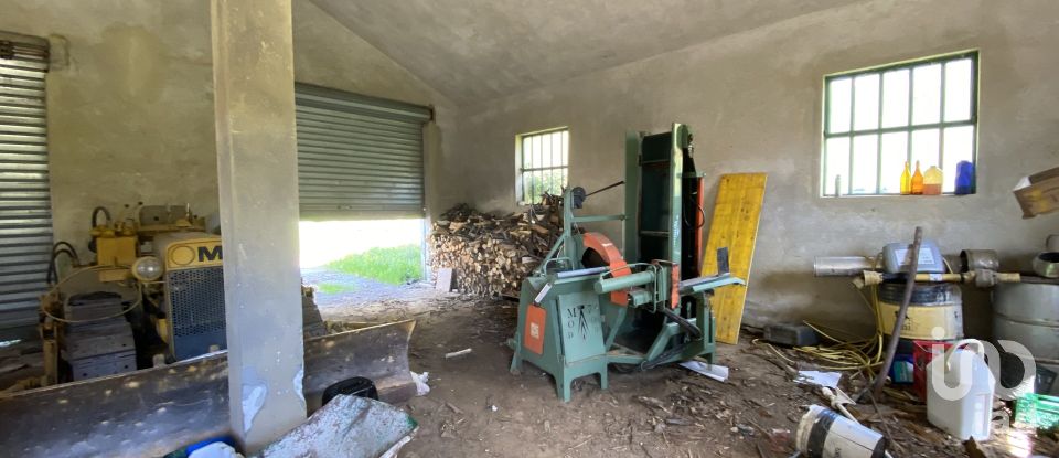 Terreno di 25.000 m² in Dego (17058)