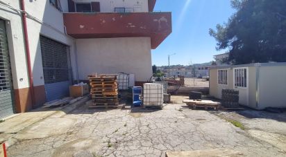 Capannone di 340 m² in Ancona (60131)