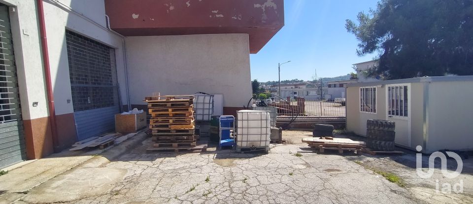 Capannone di 340 m² in Ancona (60131)