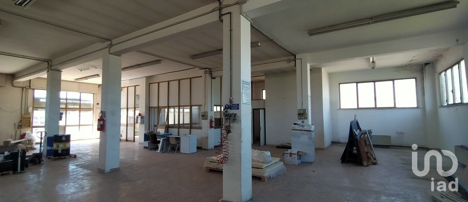 Capannone di 340 m² in Ancona (60131)