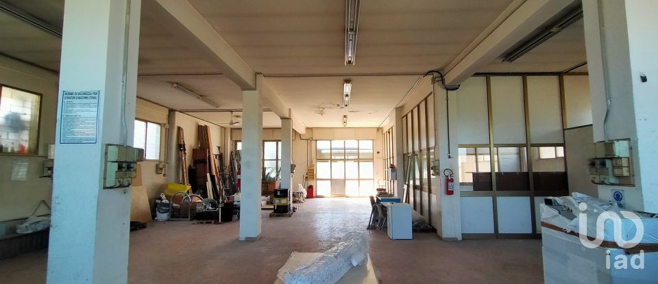 Capannone di 340 m² in Ancona (60131)