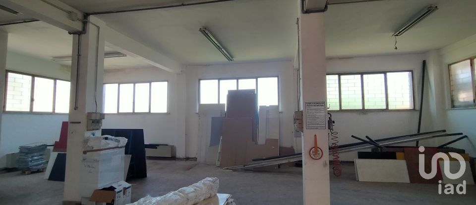 Capannone di 340 m² in Ancona (60131)