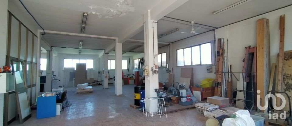 Capannone di 340 m² in Ancona (60131)