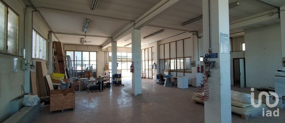 Capannone di 340 m² in Ancona (60131)