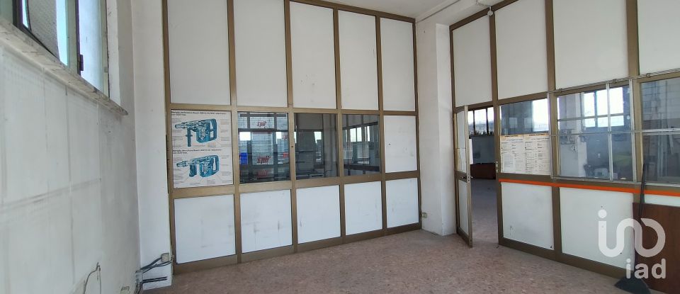 Capannone di 340 m² in Ancona (60131)