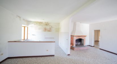 Casa indipendente / Villa 0 locali di 490 m² in San Lorenzo in Campo (61047)