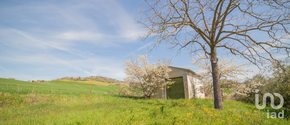 Casa indipendente / Villa 0 locali di 490 m² in San Lorenzo in Campo (61047)