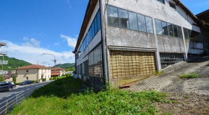 Capannone di 1.500 m² in Millesimo (17017)
