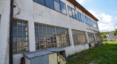 Capannone di 1.500 m² in Millesimo (17017)