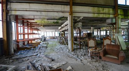 Capannone di 1.500 m² in Millesimo (17017)