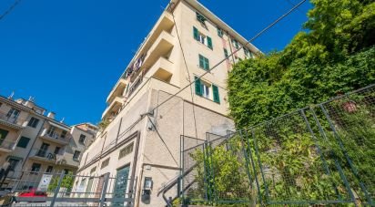 Quadrilocale di 59 m² a Genova (16167)