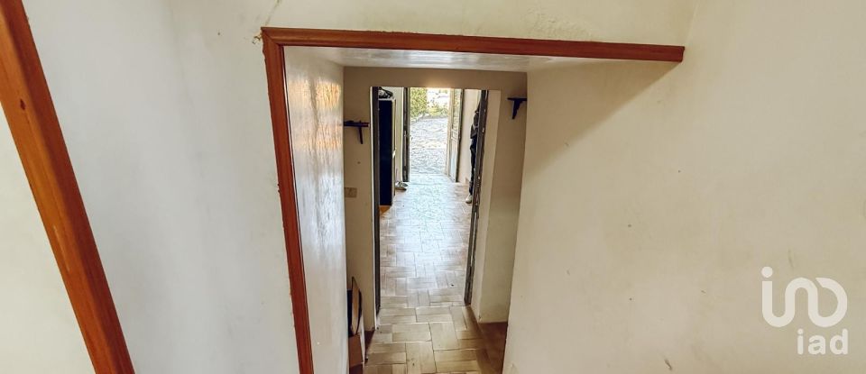 Horses property 6 rooms of 130 m² in Cisternino (72014)