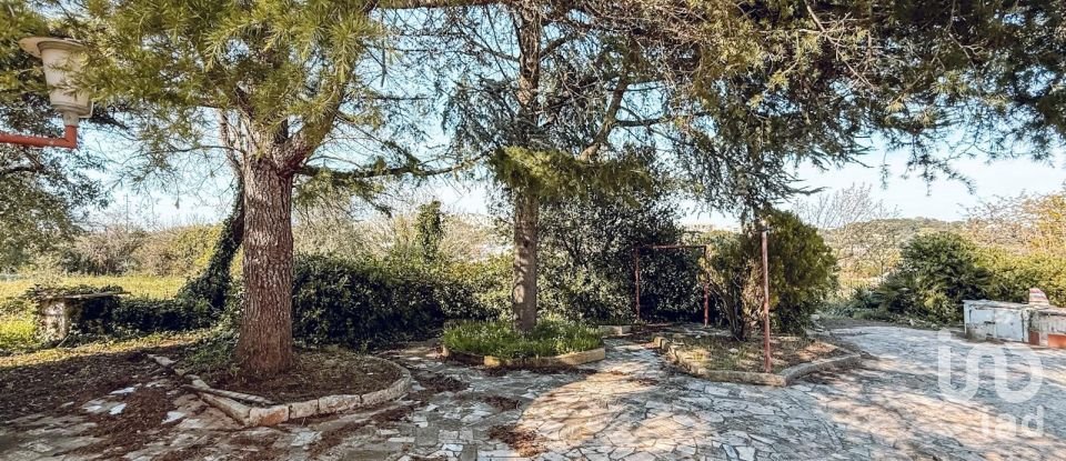 Horses property 6 rooms of 130 m² in Cisternino (72014)