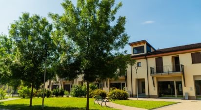 Negozio / locale commerciale di 350 m² in Cremona (26100)