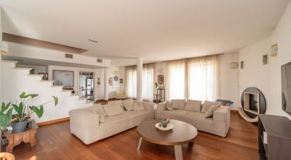 Appartamento 6 locali di 231 m² a Padova (35142)