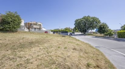 Terreno di 981 m² in Osimo (60027)