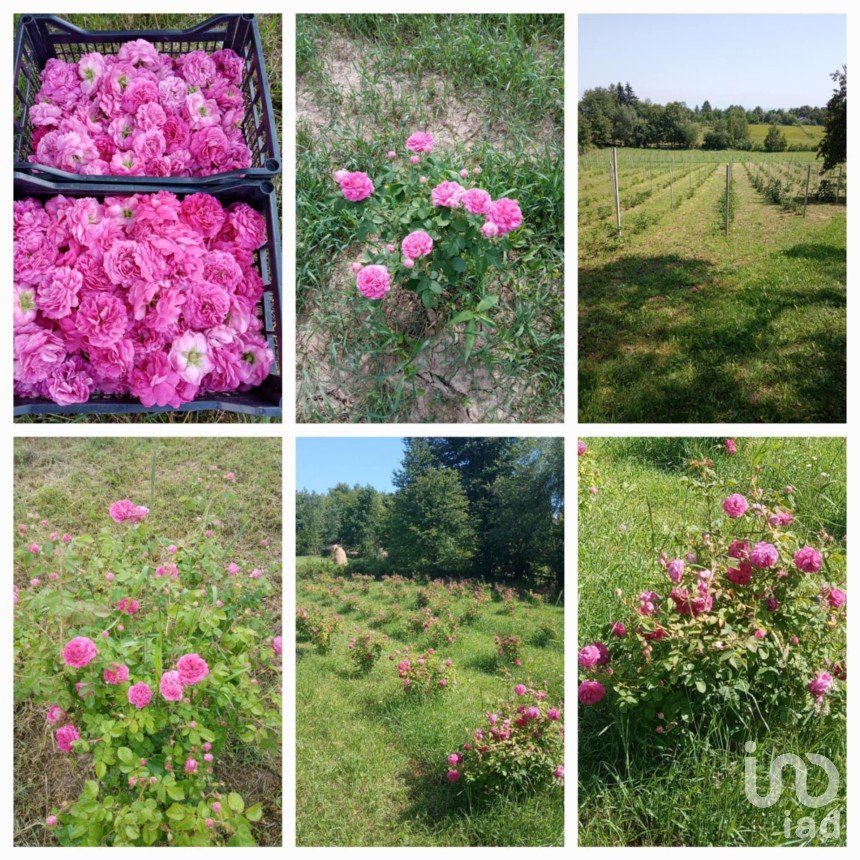 Townhouse 2 rooms of 70 m² in Cafasse (10070)