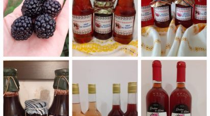 Casa indipendente 2 locali di 70 m² in Cafasse (10070)